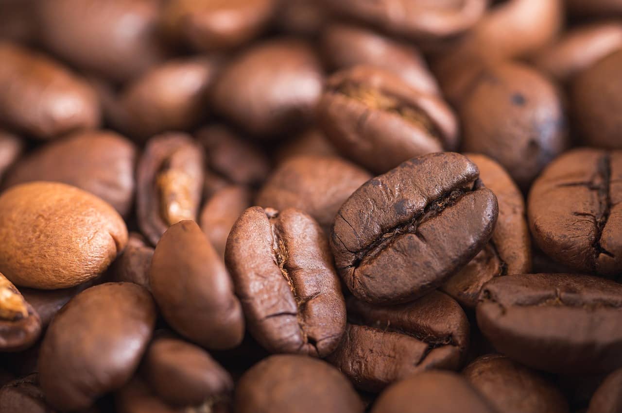 This local Colorado coffee shop is a 10.